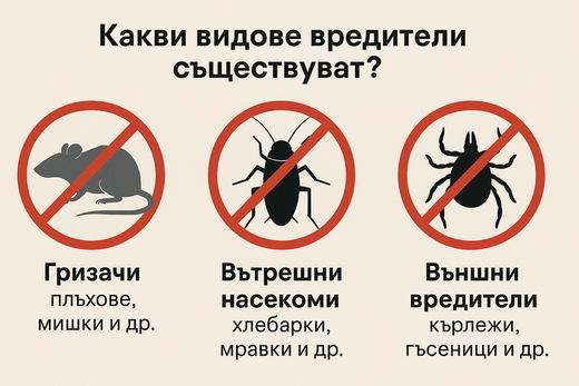 плъх, хлебарка и кърлеж